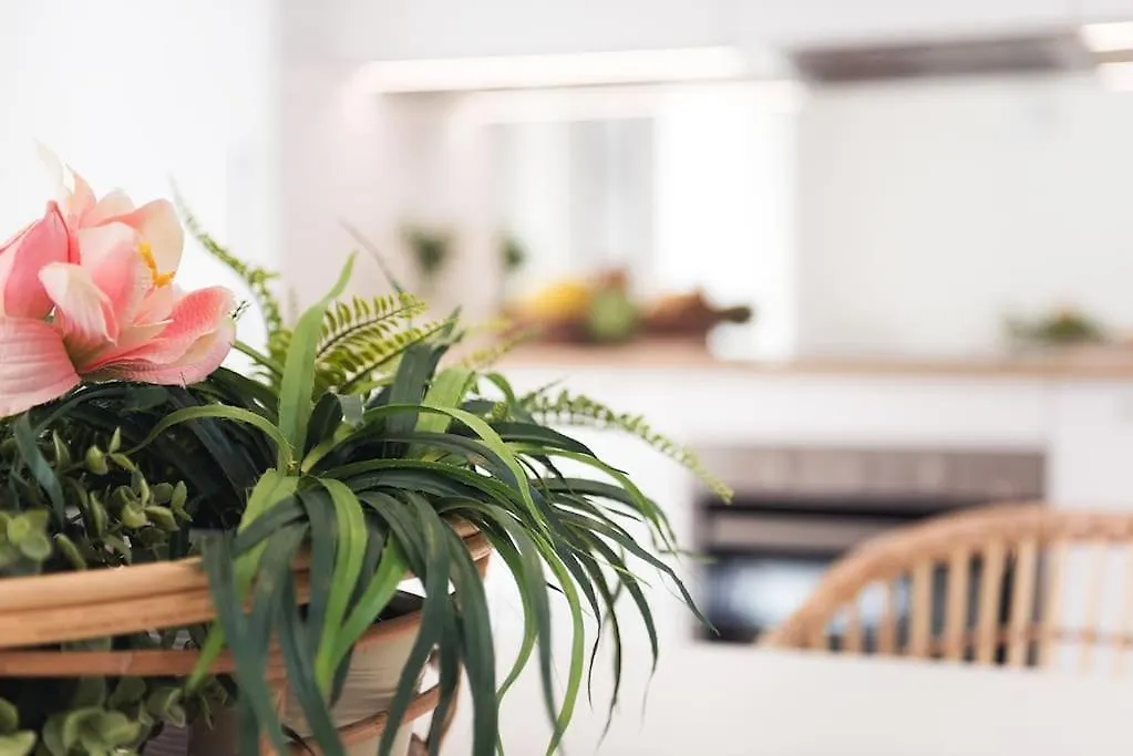 Appartement Vayadu Etoile House à Ospedaletti 0*,  Italie